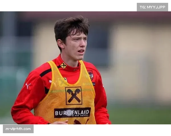 弗赖堡前锋格雷戈里奇训练中再遭撞击 或将缺席下轮德甲联赛 弗赖堡前锋格雷戈里奇训练中再遭撞击 或将缺席下轮德甲联赛